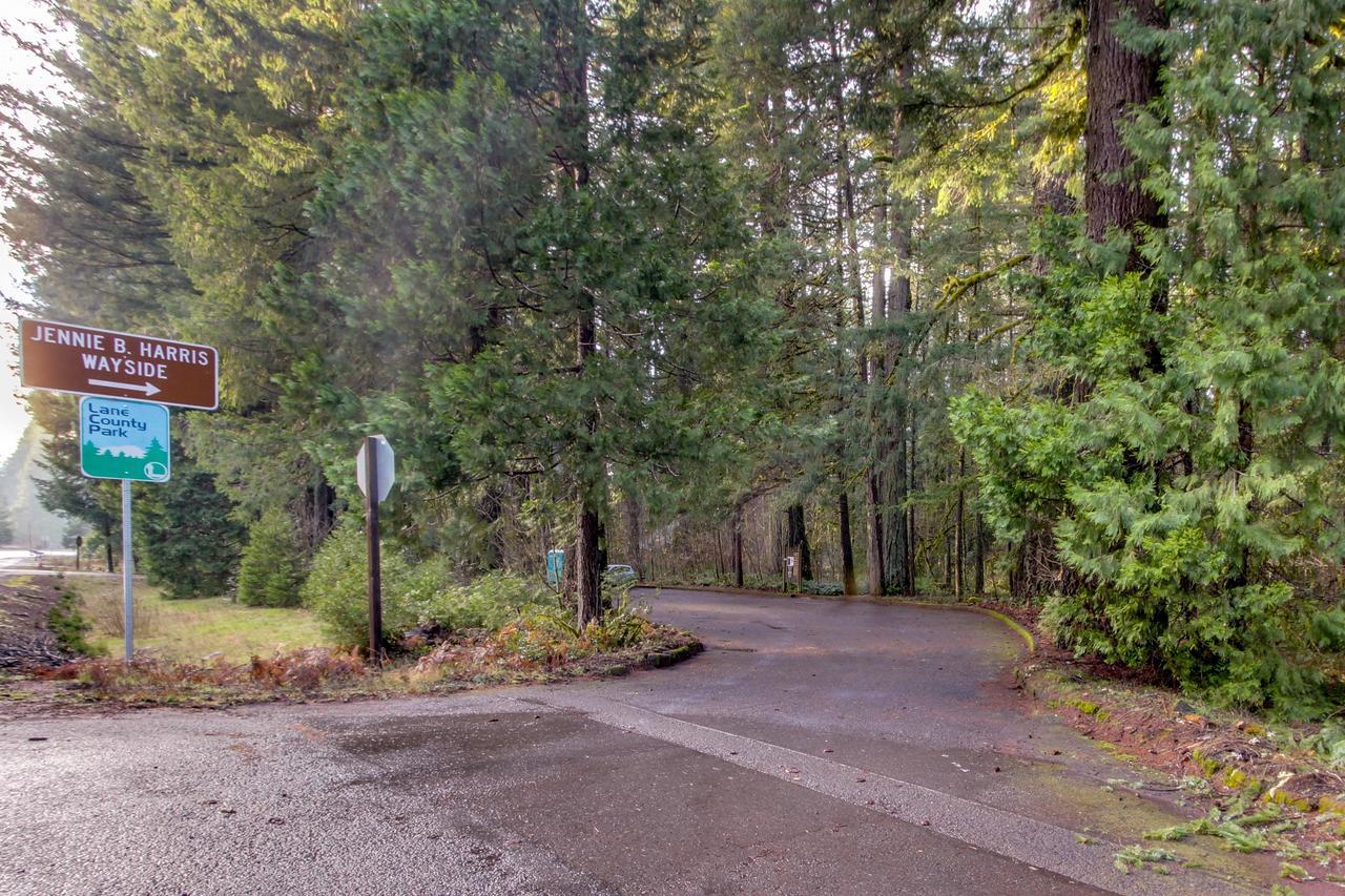 Renee's Log House Villa McKenzie Bridge Buitenkant foto