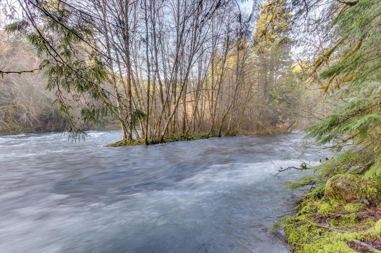 Renee's Log House Villa McKenzie Bridge Buitenkant foto
